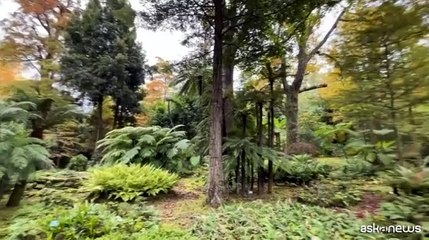 Viaggio alle Azzorre, le Hawaii d'Europa a due ore da Lisbona