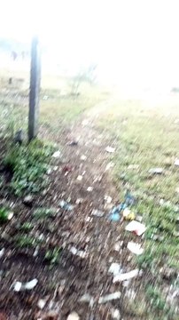 Rain status #rain shorts |rain reels|shorts video #nature _reelsvideo