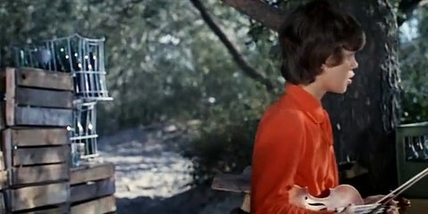 Автомобиль, скрипка и собака Клякса.