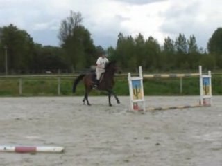 Melvin obstacle