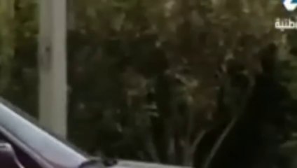 Sahbek Rajel Episode 12 - صاحبك راجل الحلقة 12