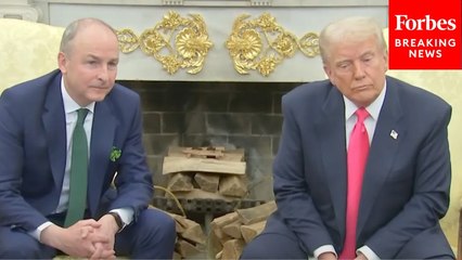 Taoiseach Pressed On Ireland's 'Diametrically Opposed Positions' With US On Israel-Palestine