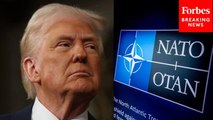 'I Was The One That Got People To Pay': Trump Takes Credit For Increased NATO Spending Across EU