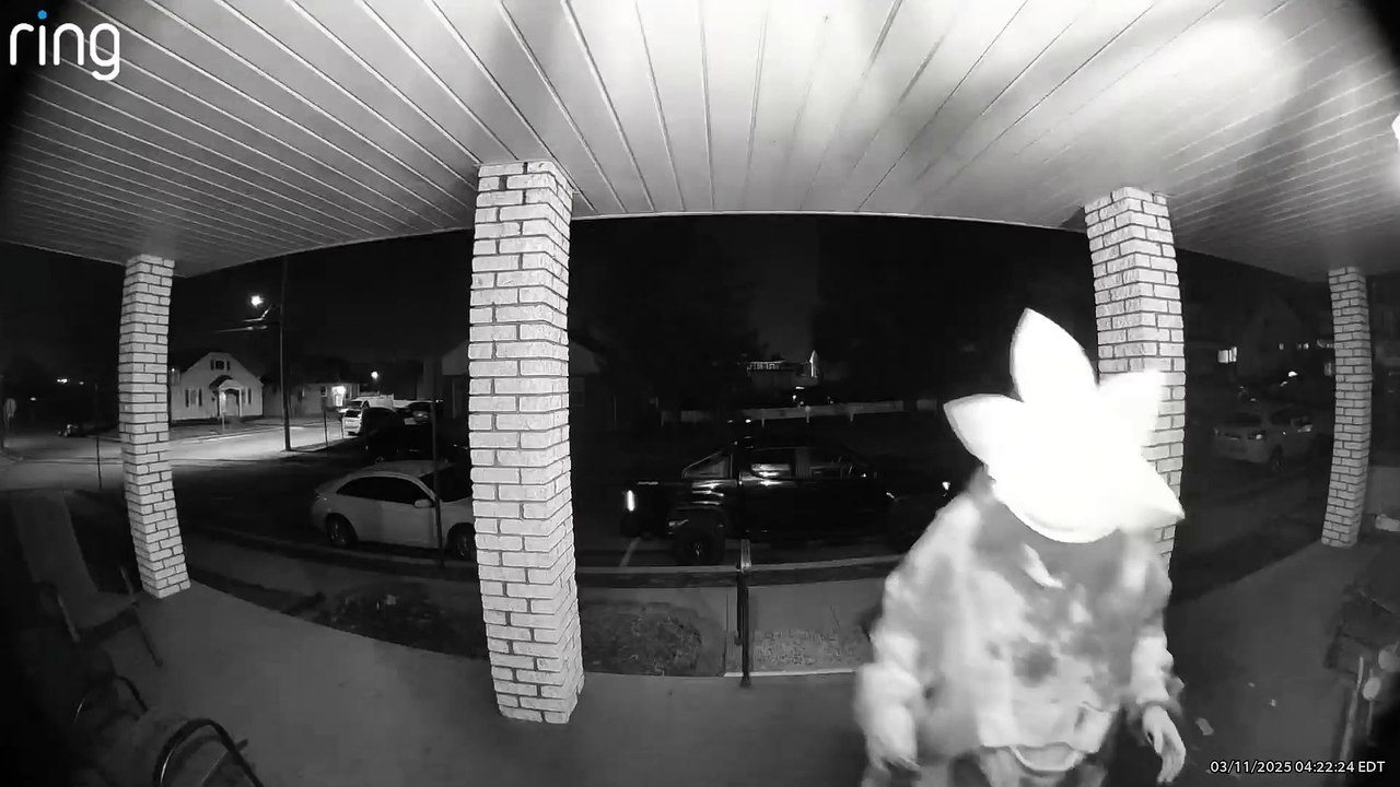 Box Demon video provided by York Police