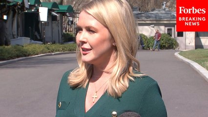 Karoline Leavitt Straight-Up Puts Responsibility On Senate Democrats To Stop Shutdown