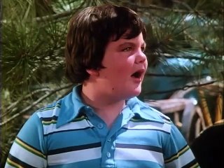 Lucan (1977)  S02E02 - Brother Wolf