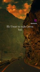 9a8e85959e024ceb950c038f55e18d66