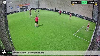 But de Terry F - Bayer Leverkusec
