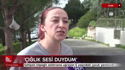 İzmir'de sahipsiz köpeğin saldırısına uğrayan 6 yaşındaki çocuk yaralandı