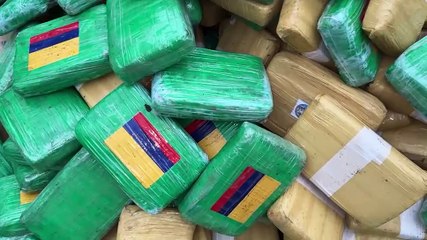 Más de dos toneladas de marihuana incautadas en Caquetá