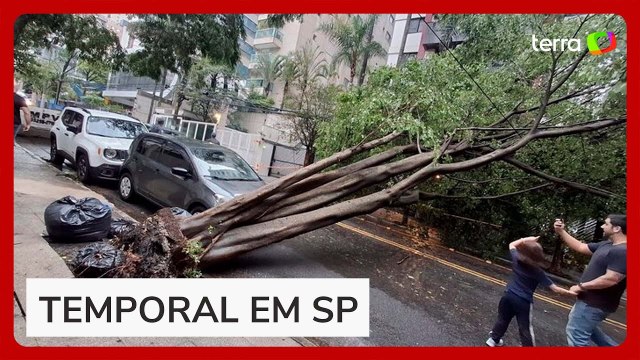 Chuva forte em SP deixa ao menos um morto e 170 mil imóveis sem energia elétrica