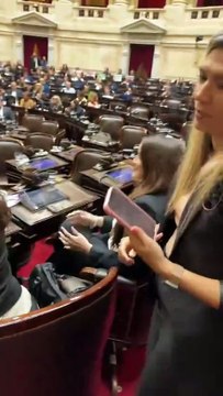 La pelea entre Lilia Lemoine y Marcela Pagano en Diputados