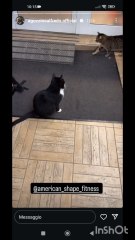 altro infortunio in palestra