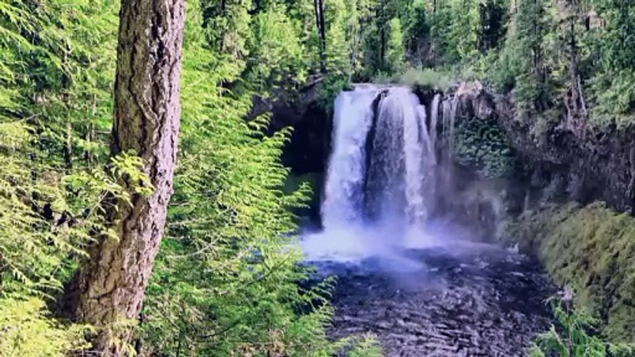 Beautiful nature