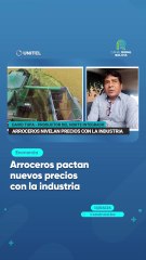 Arroceros pactan nuevos precios con la industria