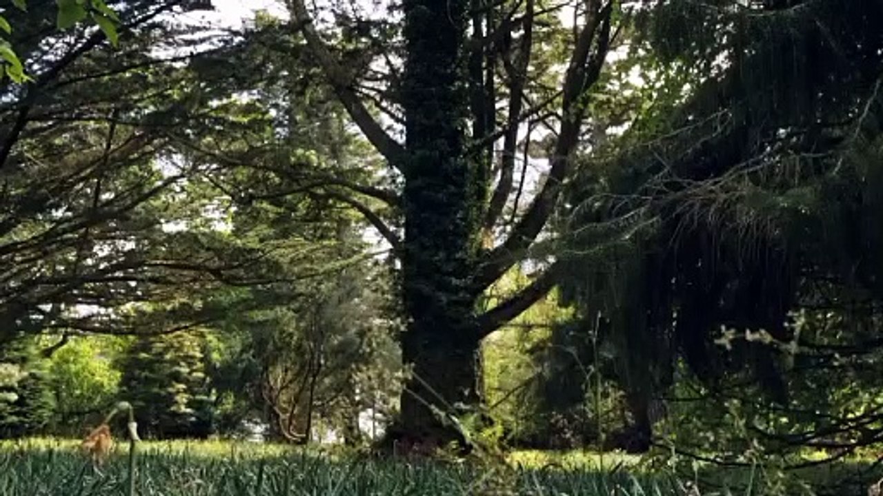 Beautiful nature