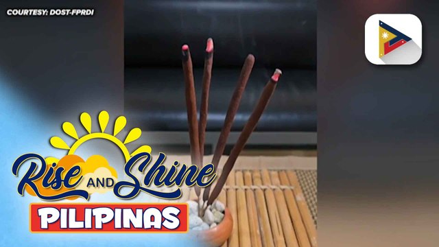 DOST, tinitingnan ang potensyal ng forest-based products vs dengue