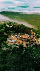 Amazing African wildlife #animallife #travel