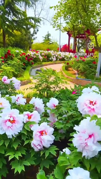 ,,,,,,,,,,,Beautiful park,,,,,,,,,,,