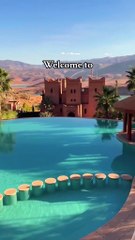 Amazing African wildlife #animallife #travel