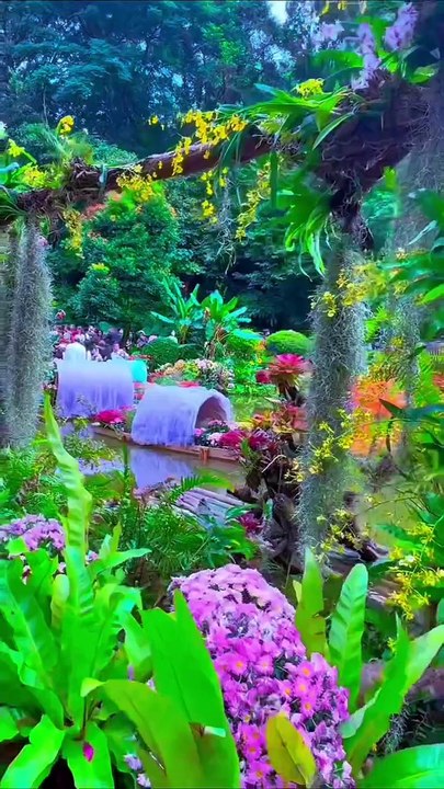 ,,,,,,,,,,Beautiful area,,,,,,,,,,