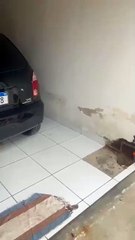 Morador do Jatobá denuncia galeria estourada há dois meses e cobra solução