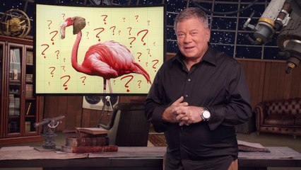 Sprout - Clangers - Imagine Part 2 Promo starring William Shatner (2015) (HD)