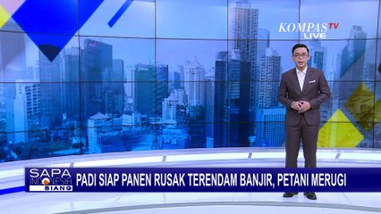 Banjir Terjang 30 Hektar Tanaman Padi, Petani Tanggung Kerugian Puluhan Juta!