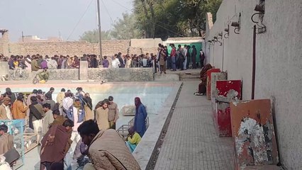 aseel murga mandi update