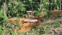 D6R XL Bulldozer Technique Clears Oil Palm Fields in Steep Plantations