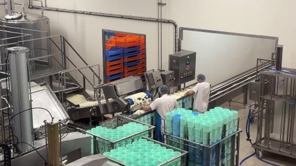 Deux fromages, une histoire : la Fourme d’Ambert et la Fourme de Montbrison, sœurs et rivales