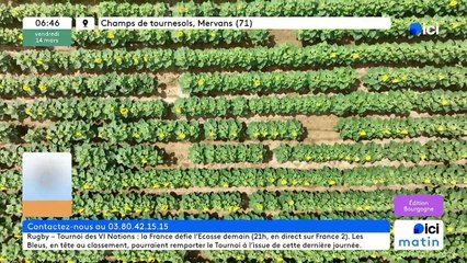 14/03/2025 - ici matin par ici Bourgogne en vidéo