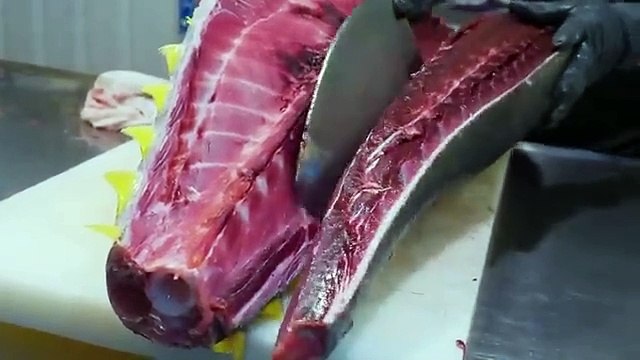 World's Sharpest Tuna Knife！Superb yellowfin Tuna cutting skill