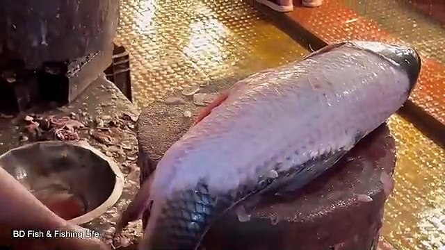 Amazing Cutting Skills Giant Rohu Fish Cutting Skills By Expert Fish Cutter
