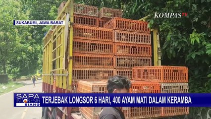 Tiga Kendaraan Pengangkut Ribuan Ayam Terjebak Longsor di Sukabumi, 400 Ayam Mati