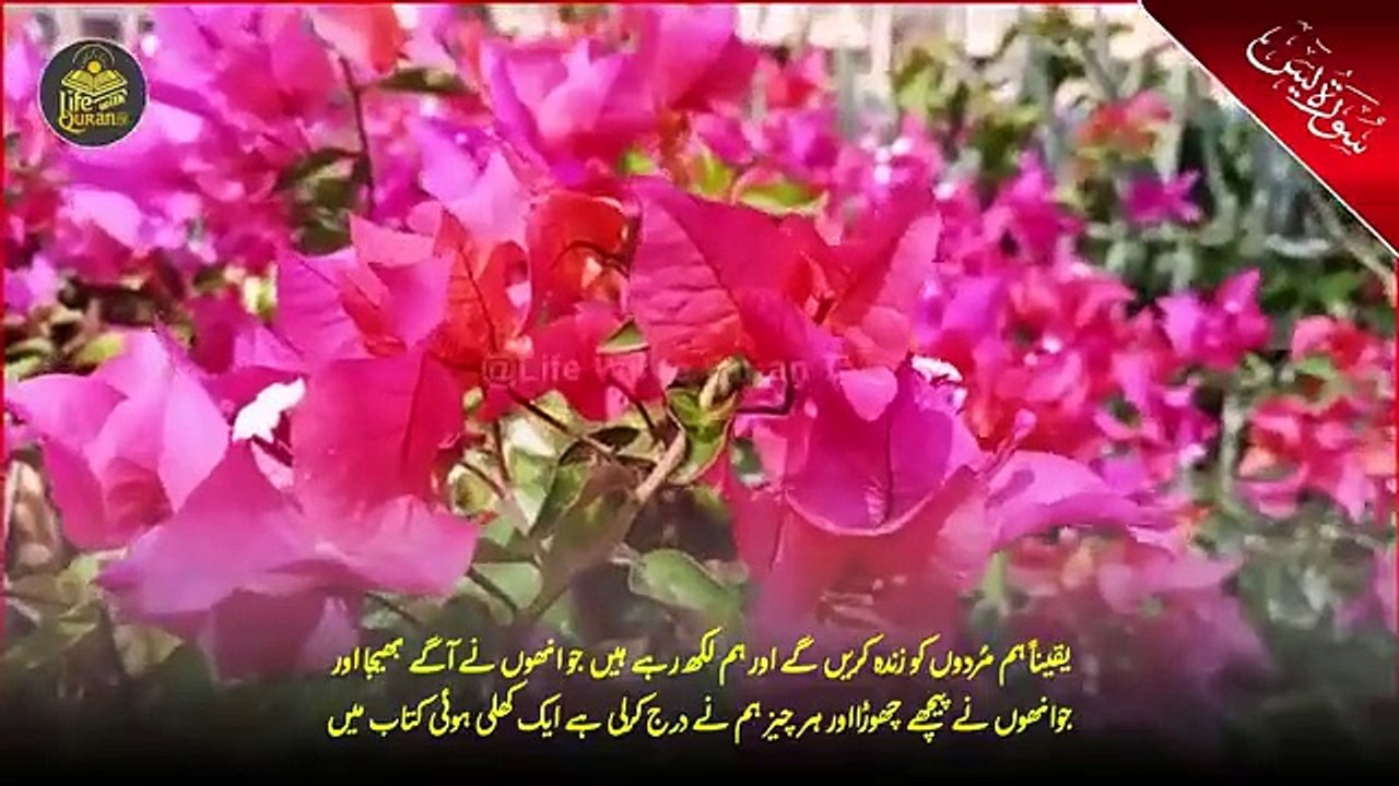 سورت یاسین اردو ترجمہ کے ساتھ (HD) کوالٹی #videoviralシ #