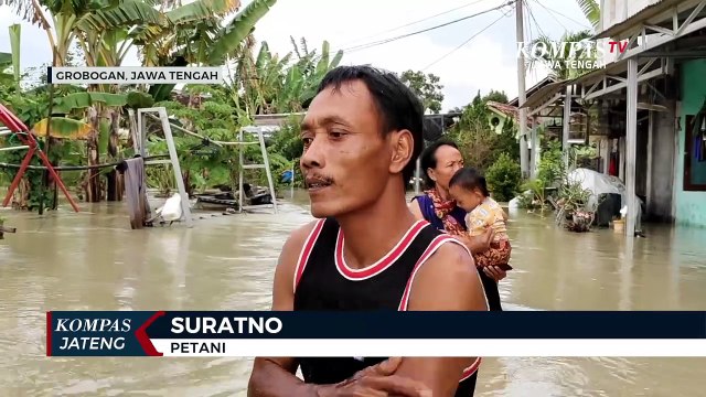 Sawah Terendam Banjir, Petani di Grobogan Gagal Panen