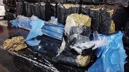Operação policial apreende 85 kg de maconha e prende casal na PR-163