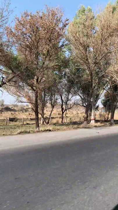 Village Side