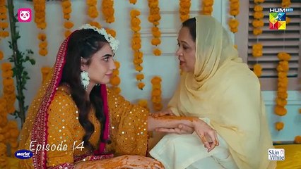 Meem Se Mohabbat - Episode 14 [CC] 30th Jan 2025 - Sponsored By foodpanda, Master Paints, Skin White