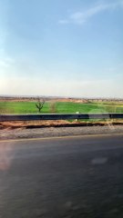 Beautiful Green Fields