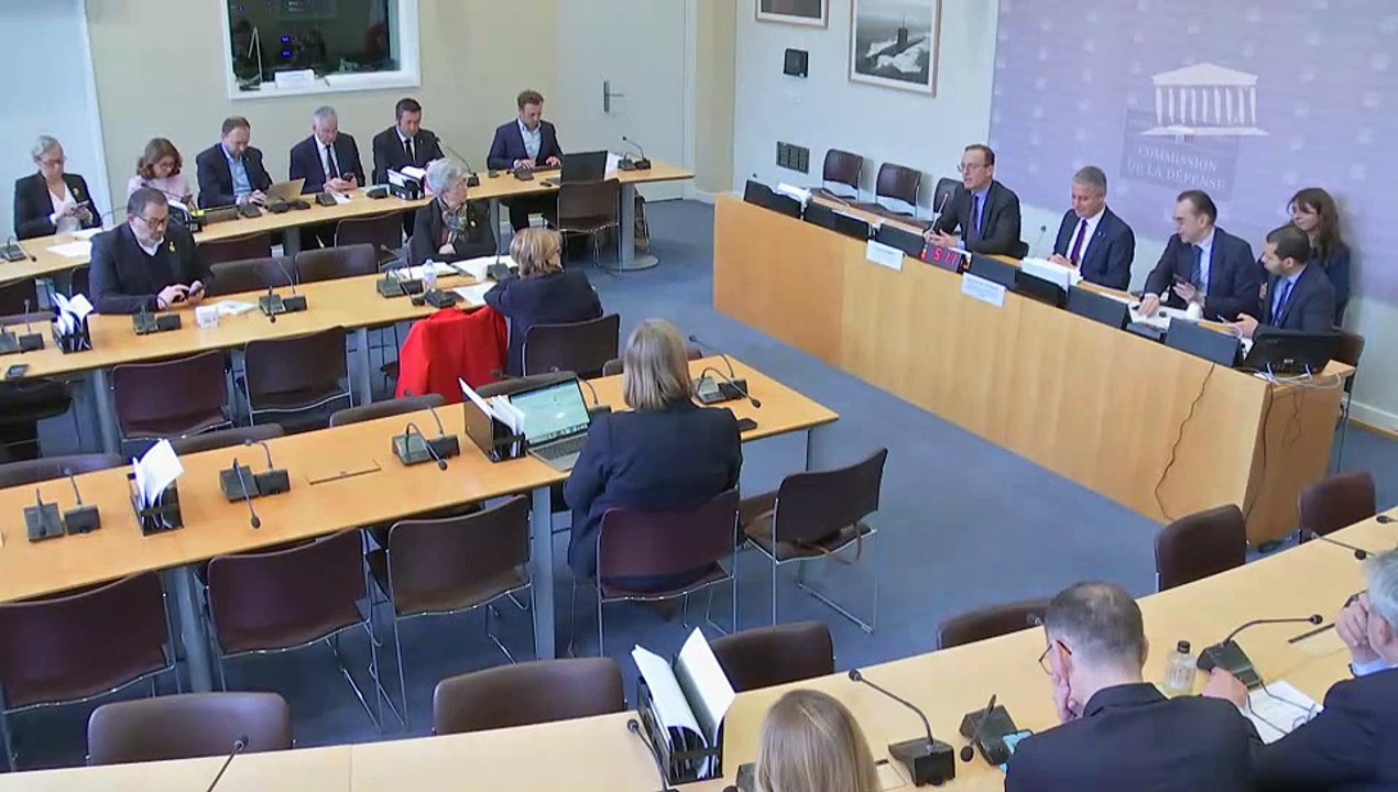 Commission de la défense :  M. Thomas Gomart, directeur de l’Institut français des relations internationales (IFRI), sur l’actualisation de la Revue nationale stratégique (RNS) 2022 - Mercredi 12 mars 2025