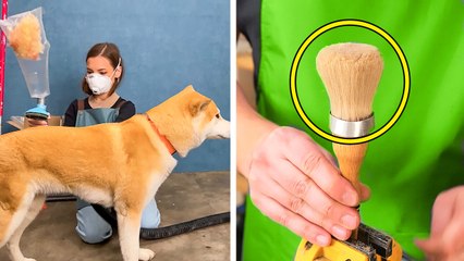 Best Out of Waste Ideas: 5-Minute Crafts to Recycle and Reuse Old Things
