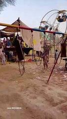 village festival #maxrecords #larkana #sindh #pakistan #villagelife #vlog