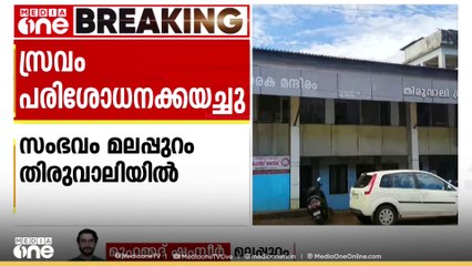 മലപ്പുറം തിരുവാലിയിൽ കൂട്ടത്തോടെ ചത്ത വവ്വാലുകളുടെ സ്രവം പരിശോധനക്കയച്ചു