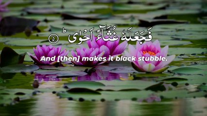 Al-Quran Recitation | Surah-Al-Aala | Ayat 1-19 | Abdul Rahman mossed | English translation