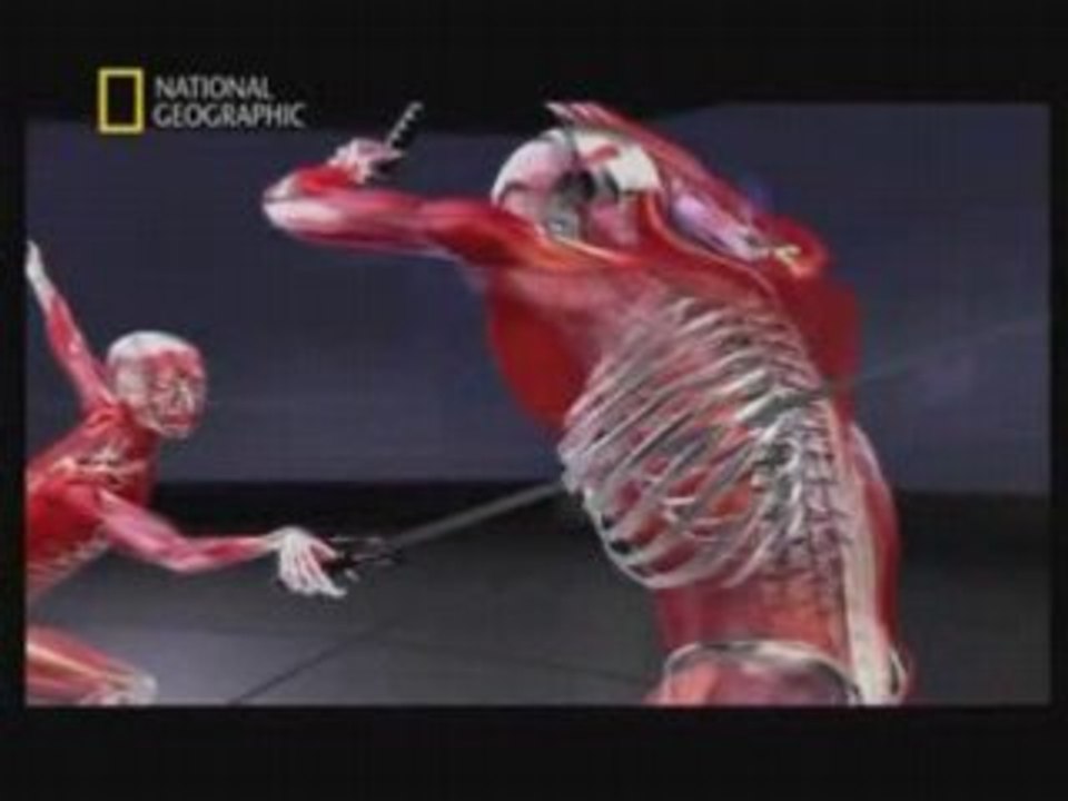 La Science Du Combat Part 5