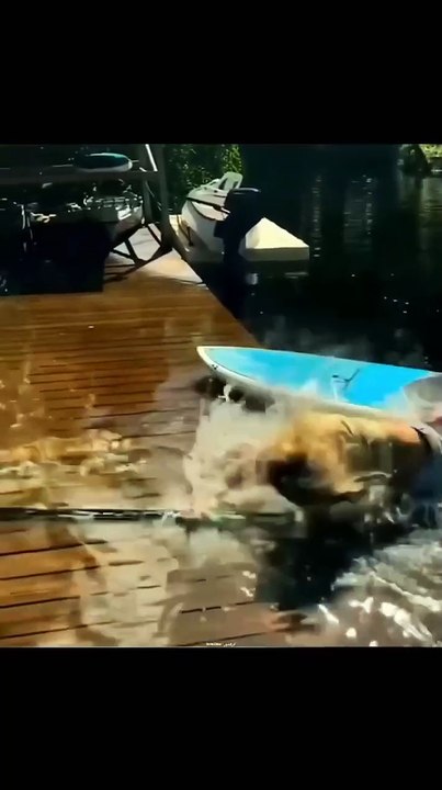Funniest Fails of 2025 (So Far)