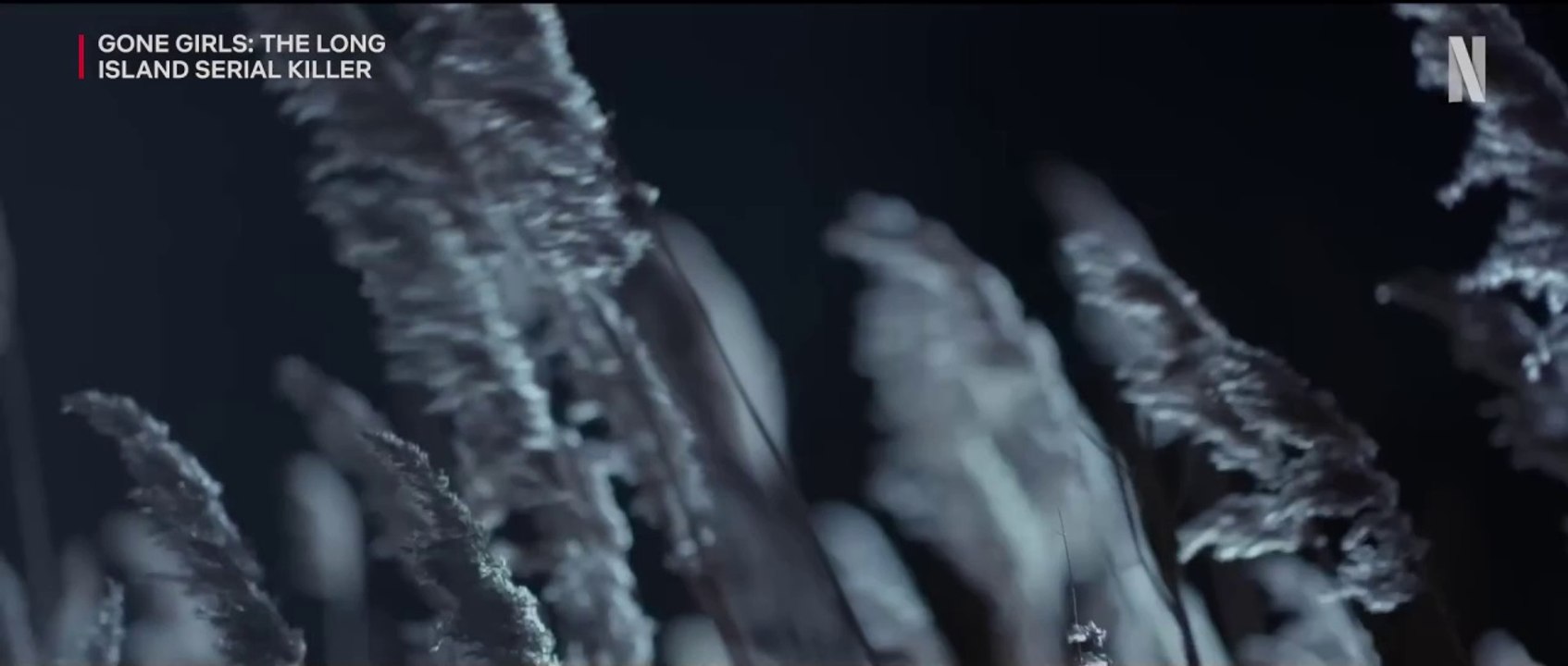 Gone Girls: Der Serienmörder von Long Island Trailer OV