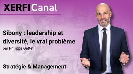 Sibony : leadership et diversité, le vrai problème [Philippe Gattet]